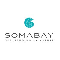 Abu Soma Development Company